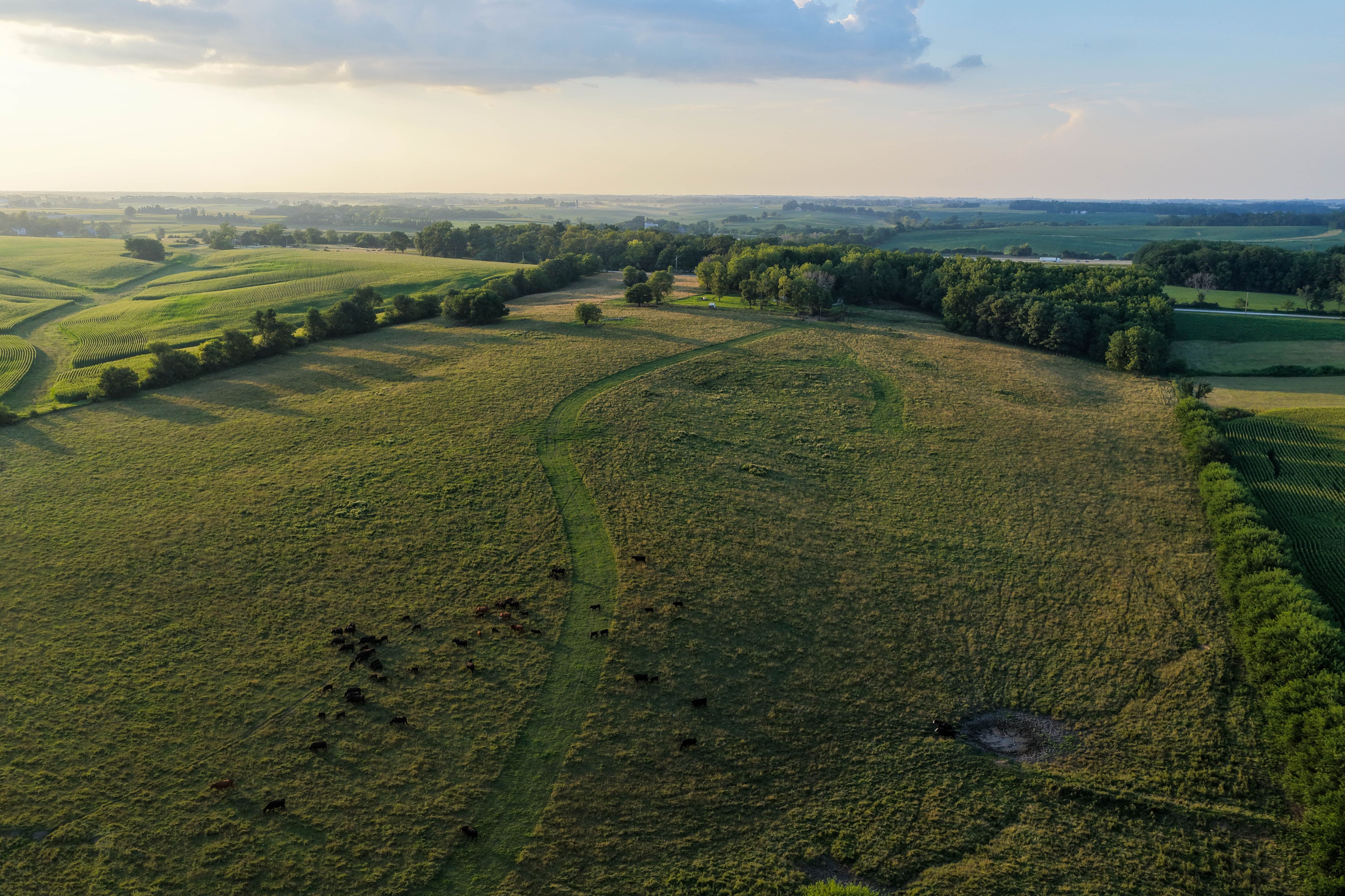 Listing Photo: Johnson County Land For Sale-23-2
